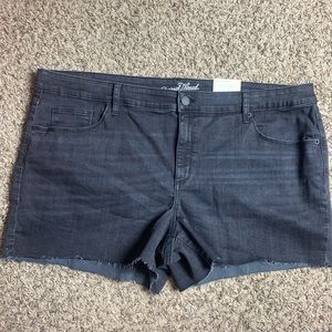 Universal Thread Women’s Plus Size Stretch Shorts
